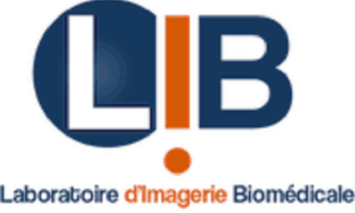 Internship : Patient Stratification in Amyotrophic Lateral Sclerosis Using Brain and Spinal MRI and Generative Adversarial Networks